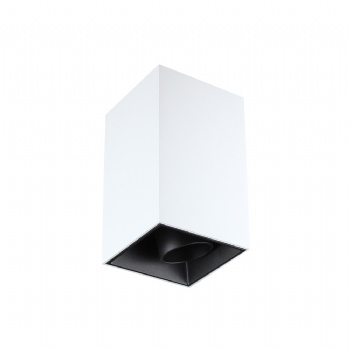 PL6008